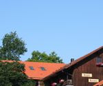 galerie043